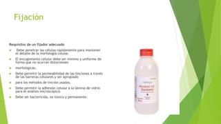 Fijación
Requisitos de un fijador adecuado
 Debe penetrar las células rápidamente para mantener
el detalle de la morfología celular.
 El encogimiento celular debe ser mínimo y uniforme de
forma que no ocurran distorsiones
 morfológicas.
 Debe permitir la permeabilidad de las tinciones a través
de las barreras celulares y ser apropiado
 para los métodos de tinción usados.
 Debe permitir la adhesión celular a la lámina de vidrio
para el análisis microscópico.
 Debe ser bactericida, no tóxico y permanente.
 