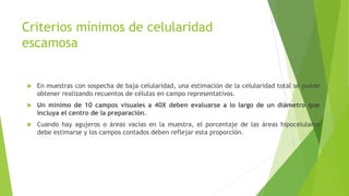Criterios mínimos de celularidad
escamosa
 En muestras con sospecha de baja celularidad, una estimación de la celularidad total se puede
obtener realizando recuentos de células en campo representativos.
 Un mínimo de 10 campos visuales a 40X deben evaluarse a lo largo de un diámetro que
incluya el centro de la preparación.
 Cuando hay agujeros o áreas vacías en la muestra, el porcentaje de las áreas hipocelulares
debe estimarse y los campos contados deben reflejar esta proporción.
 