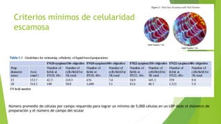 Criterios mínimos de celularidad
escamosa
Número promedio de células por campo requerido para lograr un mínimo de 5,000 células en un LBP dado el diámetro de
preparación y el número de campo del ocular
 