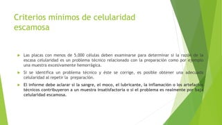 Criterios mínimos de celularidad
escamosa
 Las placas con menos de 5,000 células deben examinarse para determinar si la razón de la
escasa celularidad es un problema técnico relacionado con la preparación como por ejemplo
una muestra excesivamente hemorrágica.
 Si se identifica un problema técnico y éste se corrige, es posible obtener una adecuada
celularidad al repetir la preparación.
 El informe debe aclarar si la sangre, el moco, el lubricante, la inflamación o los artefactos
técnicos contribuyeron a un muestra insatisfactoria o si el problema es realmente por baja
celularidad escamosa.
 