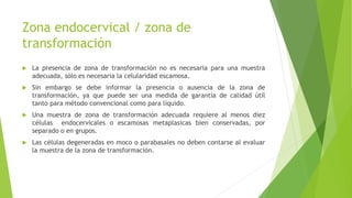 Zona endocervical / zona de
transformación
 La presencia de zona de transformación no es necesaria para una muestra
adecuada, sólo es necesaria la celularidad escamosa.
 Sin embargo se debe informar la presencia o ausencia de la zona de
transformación, ya que puede ser una medida de garantía de calidad útil
tanto para método convencional como para líquido.
 Una muestra de zona de transformación adecuada requiere al menos diez
células endocervicales o escamosas metaplasicas bien conservadas, por
separado o en grupos.
 Las células degeneradas en moco o parabasales no deben contarse al evaluar
la muestra de la zona de transformación.
 