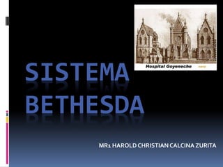 SISTEMA
BETHESDA
MR1 HAROLD CHRISTIANCALCINA ZURITA
 