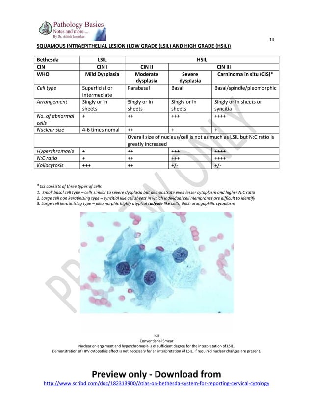 Atlas on bethesda system for reporting cervical cytology