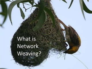 What is Network Weaving? 