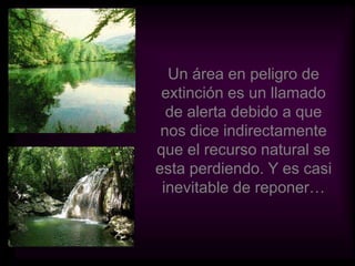 Un área en peligro de extinción es un llamado de alerta debido a que nos dice indirectamente que el recurso natural se esta perdiendo. Y es casi inevitable de reponer…