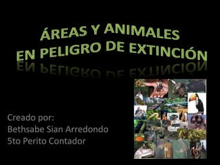 Áreas y animales  En peligro de extinción Creado por: Bethsabe Sian Arredondo5to Perito Contador 