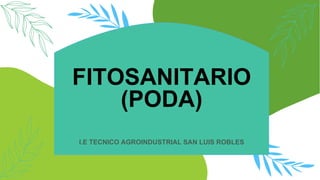 slidesmania.com
FITOSANITARIO
(PODA)
I.E TECNICO AGROINDUSTRIAL SAN LUIS ROBLES
 