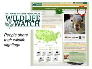 8 Principles for Using Social Media Effectively