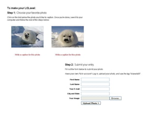8 Principles for Using Social Media Effectively