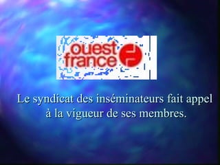 Le syndicat des inséminateurs fait appel
     à la vigueur de ses membres.
 