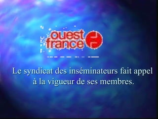 Le syndicat des inséminateurs fait appel
     à la vigueur de ses membres.
 