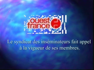 Le syndicat des inséminateurs fait appel
     à la vigueur de ses membres.
 