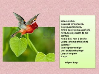Sei um ninho.
E o ninho tem um ovo.
E o ovo, redondinho,
Tem lá dentro um passarinho
Novo. Mas escusam de me
atentar:
Nem o tiro, nem o ensino.
Quero ser um bom menino
E guardar
Este segredo comigo.
E ter depois um amigo
Que faça o pino
A voar...
Miguel Torga
 
