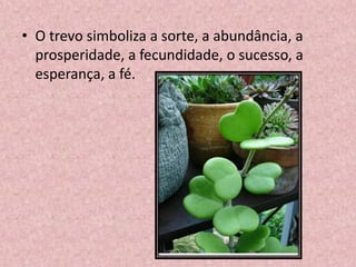 • O trevo simboliza a sorte, a abundância, a
prosperidade, a fecundidade, o sucesso, a
esperança, a fé.
 
