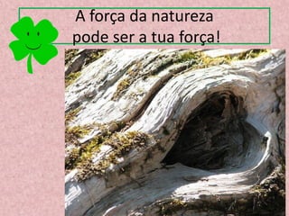 A força da natureza
pode ser a tua força!
 