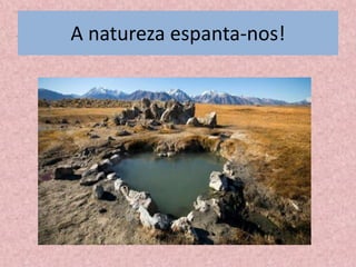 A natureza espanta-nos!
 