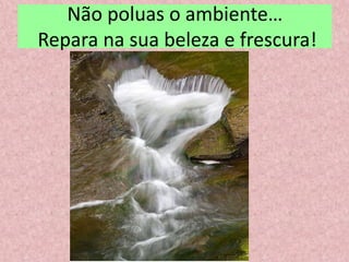 Não poluas o ambiente…
Repara na sua beleza e frescura!
 
