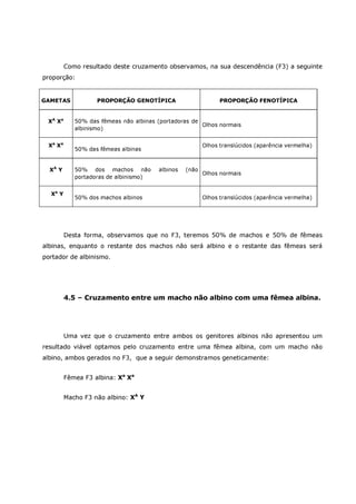 Betta splendens albino