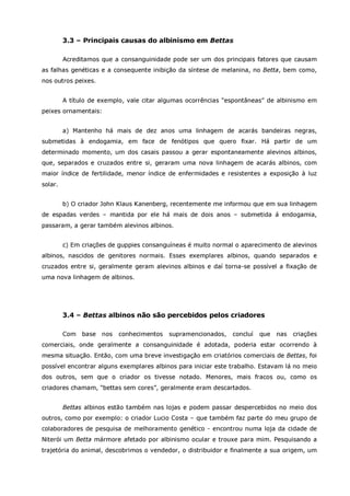 Betta splendens albino