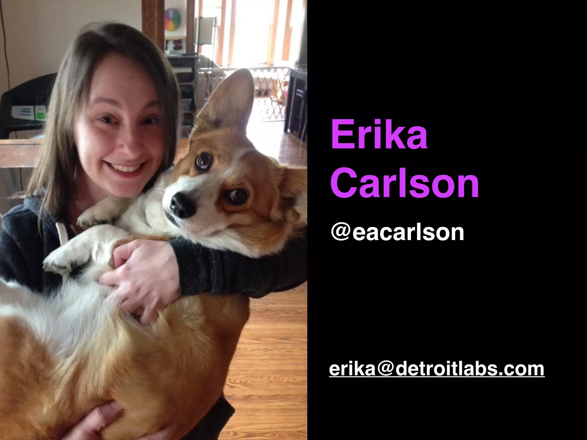 Erika
Carlson
@eacarlson
erika@detroitlabs.com
 