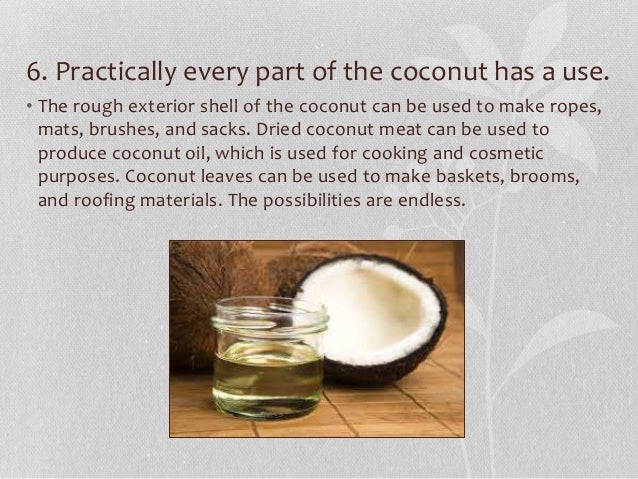 8 Fun Facts About Coconuts