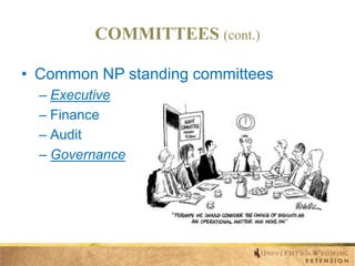 COMMITTEES (cont.)
• Common NP standing committees
– Executive
– Finance
– Audit
– Governance

 