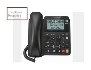 The Stress
Response
 