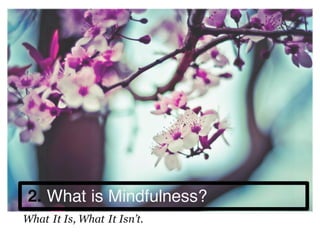 2. What is Mindfulness?
What It Is, What It Isn’t.
 