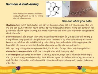 • Oxytocin được mệnh danh là chất keo gắn kết tình cảm, được tiết ra ở nồng độ cao nhất khi
mẹ cho con bú, hay khi một người tỏ thái độ yêu thương chân thành, mong ước được kết nối,
gắn bó sâu sắc với người thương, hay khi ta vuốt ve cơ thể mình với ý niệm trân trọng biết ơn
chính bản thân.
• Serotonin là chất dẫn truyền thần kinh, thúc đẩy sự nhạy cảm lẫn ý thức cao độ về những gì
đang diễn ra xung quanh và cảm giác hạnh phúc trọn vẹn, ví dụ niềm vui nhè nhẹ mà lan tỏa
kéo dài, có thể được sản sinh khi chúng ta ăn những thực phẩm chứa nhiều tryptophan (là
hoạt chất nền tạo ra serotonin) như dứa, chocolate, cá hồi, các loại quả hạch,...
• Nếu bạn từng trải nghiệm tình yêu sét đánh, lúc đó não của bạn tiết ra một lượng rất lớn
dopamin và norepinephrin, khiến bạn cảm giác như mình đang say vậy!
• Còn endorphin vốn được mệnh danh là ‘ma túy nội sinh’, được tiết ra rất nhiều khi chúng ta
đạt cực khoái trong quan hệ tình dục, hoặc khi một người tập thể dục với cường độ cao sau ít
nhất 30 phút. Endorphin khiến cho cơ thể chúng ta ngất ngây, mãn nguyện và cảm thấy sung
mãn nhất.
6
Minh họa cấu trúc phân tử endorphin
& dây chuyền dành cho nữ, mô phỏng
cấu trúc của endorphin
 