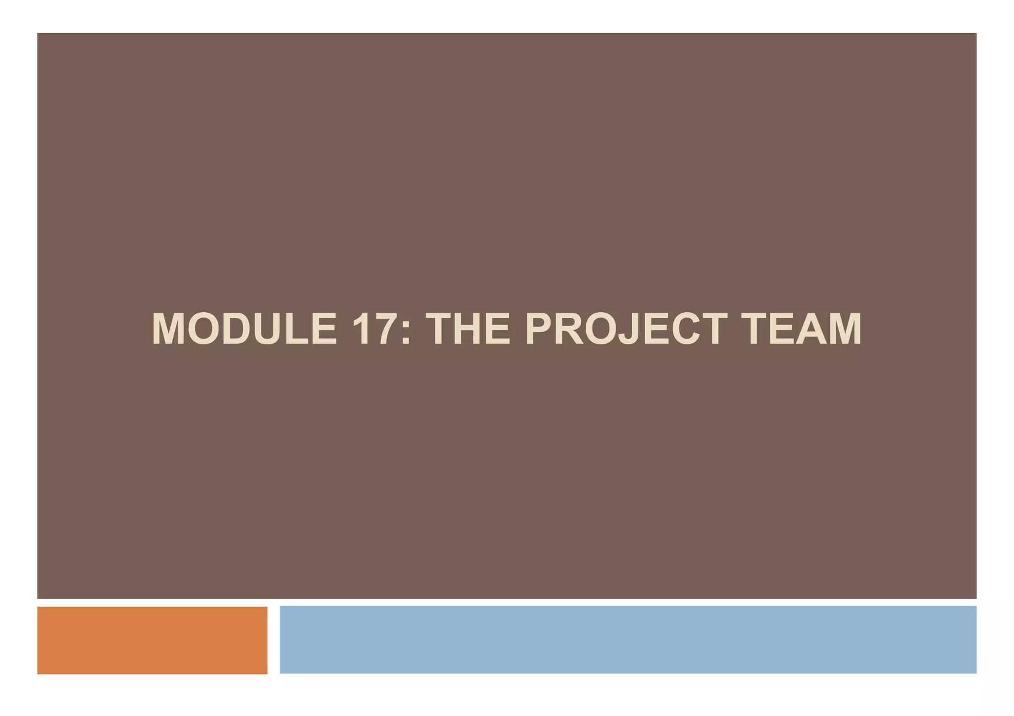 MODULE 17: THE PROJECT TEAM
 