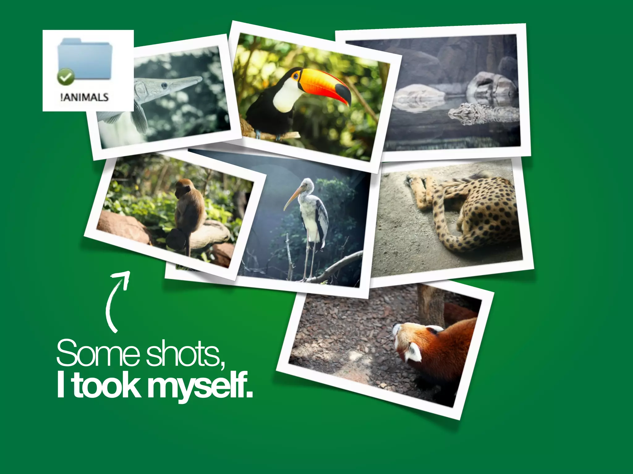 Someshots,
Itookmyself.
 