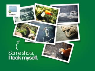 Someshots,
Itookmyself.
 