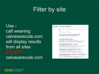Filter by site 
Use - 
calf weaning – 
calvesarecute.com 
will display results 
from all sites 
EXCEPT 
calvesarecute.com 
 