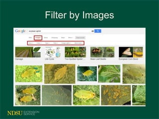 Filter by Images 
 
