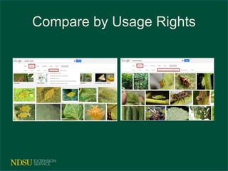 Compare by Usage Rights 
 