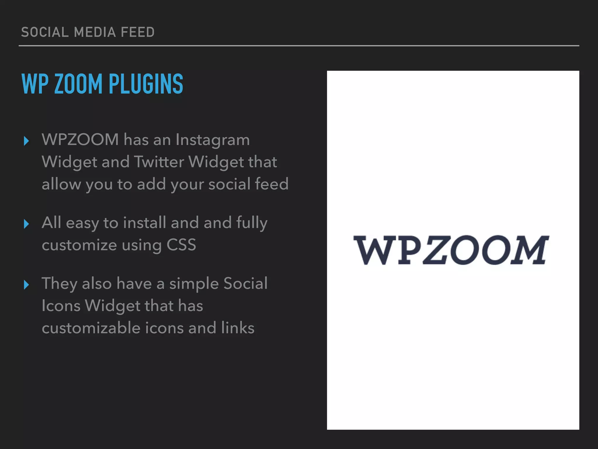 SOCIAL MEDIA FEED
WP ZOOM PLUGINS
▸ WPZOOM has an Instagram
Widget and Twitter Widget that
allow you to add your social feed
▸ All easy to install and and fully
customize using CSS
▸ They also have a simple Social
Icons Widget that has
customizable icons and links
 