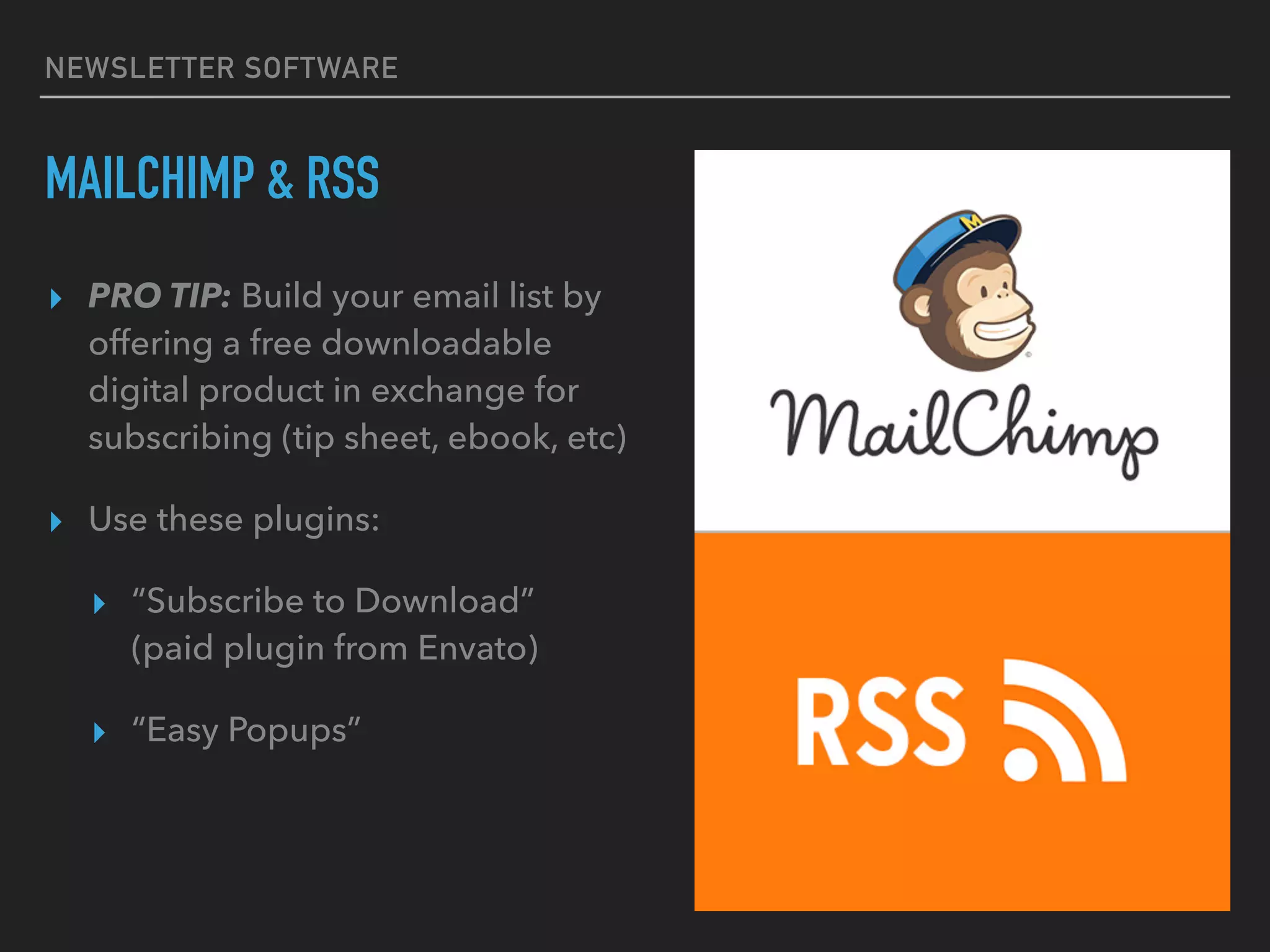 NEWSLETTER SOFTWARE
MAILCHIMP & RSS
▸ PRO TIP: Build your email list by
offering a free downloadable
digital product in exchange for
subscribing (tip sheet, ebook, etc)
▸ Use these plugins:
▸ “Subscribe to Download”  
(paid plugin from Envato)
▸ “Easy Popups”
 