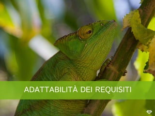 ADATTABILITÀ DEI REQUISITI
 
