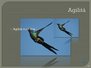    Agilità vuol dire …




                          55
 