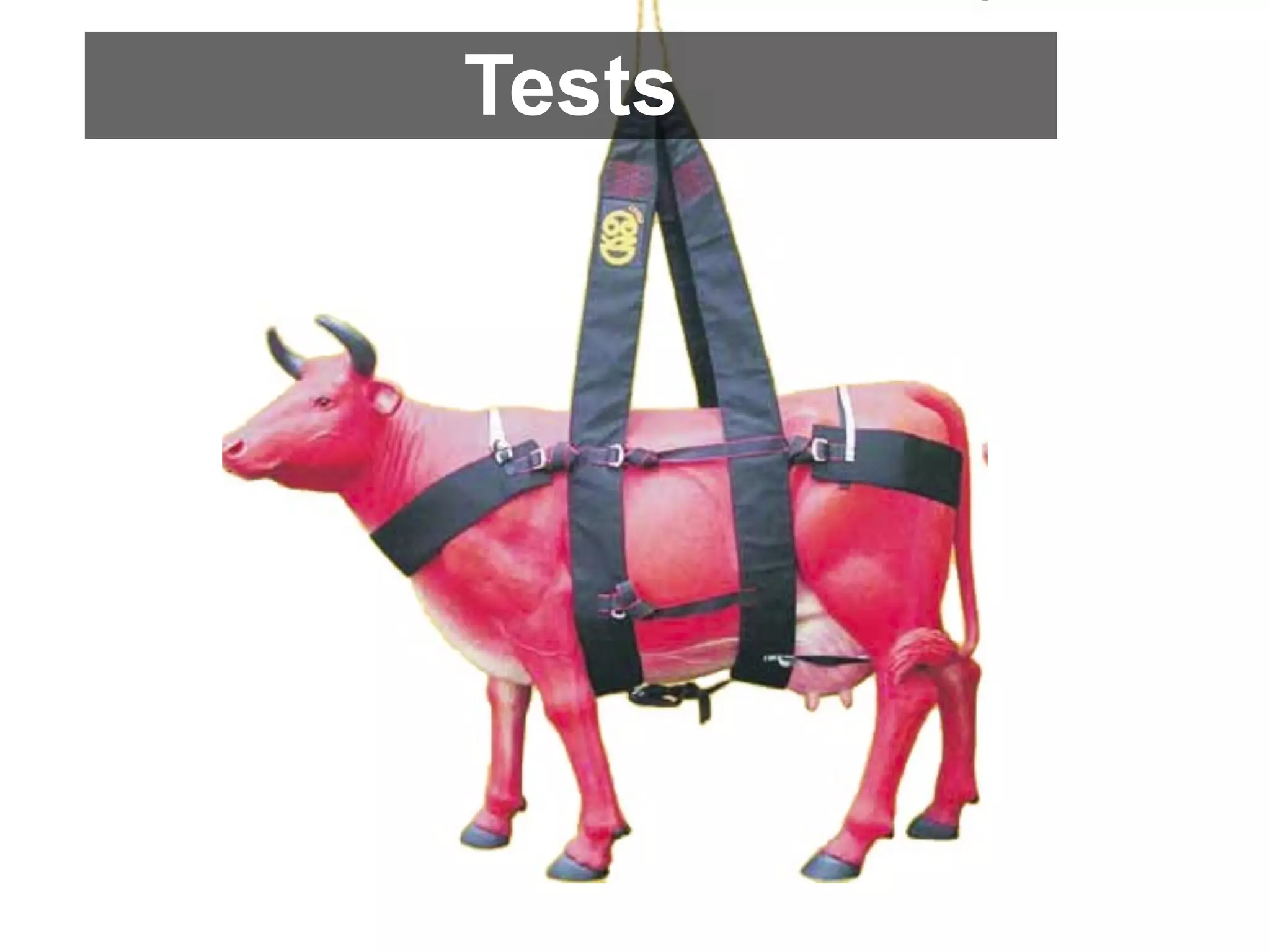 Tests
 