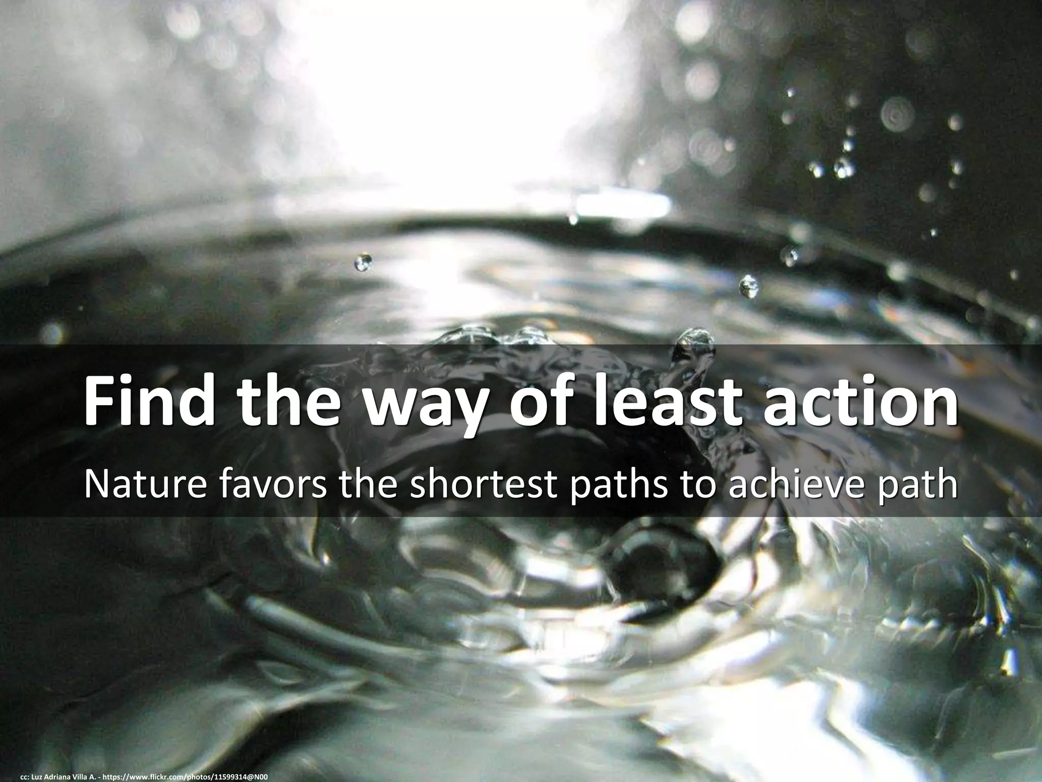 Find the way of least action
Nature favors the shortest paths to achieve path
cc: Luz Adriana Villa A. - https://www.flickr.com/photos/11599314@N00
 