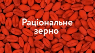 Україна може бути іншою: Презентація Навігації