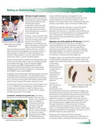 Betting on biotechnology