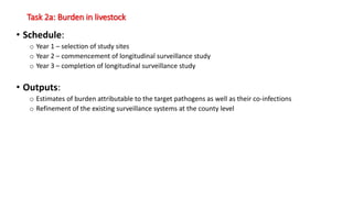 Task 2a: Burden in livestock
• Schedule:
o Year 1 – selection of study sites
o Year 2 – commencement of longitudinal surveillance study
o Year 3 – completion of longitudinal surveillance study
• Outputs:
o Estimates of burden attributable to the target pathogens as well as their co-infections
o Refinement of the existing surveillance systems at the county level
 