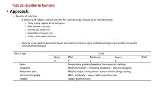 Task 2c: Burden in humans
• Approach:
o Severity of infection
- A total of 224 subjects will be selected for severity study. Groups to be considered are:
o Those testing negative for all pathogens
o RVFv positive cases only
o Brucella spp. cases only
o Coxiella burnetii cases only
o Subjects with mixed infections
- Severity scores will be generated based on severity of clinical signs and haematological parameters at weekly
intervals (Table below)
Clinical sign Score
None Mild Moderate Severe Total
0 1 2 3
Fever
Headache
Abdominal pain
Joint pains/myalgia
Fatigue
Temperature gradient based on thermometer readings
Mild/intermittent – throbbing headache -- chronic headache
Mild/no major consequence - acute – chronic/longstanding
Mild – moderate – severe with loss of function
Fatigue questionnaire
 