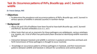 Co-infection with Rift Valley fever virus, Brucella spp. and Coxiella burnetii in humans and animals in Kenya: Disease burden and ecological factors