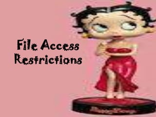 File Access
Restrictions
 