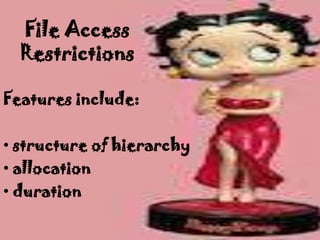File Access
  Restrictions

Features include:

• structure of hierarchy
• allocation
• duration
 