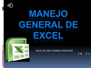 MANEJO
GENERAL DE
   EXCEL
  CRUZ ALVISO ANDREA BEATRIZ
                               T.M   2° II
 
