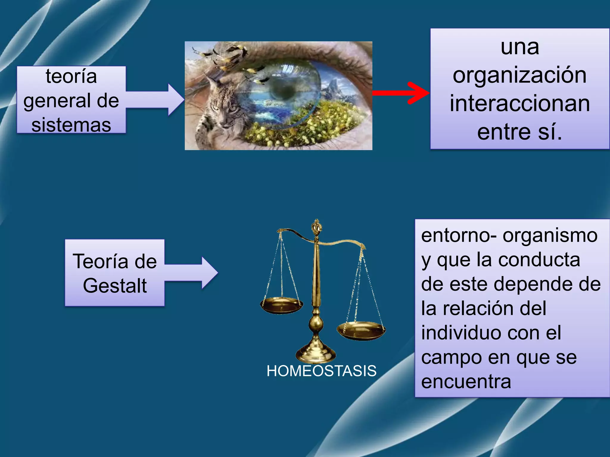 teoría
general de
sistemas
una
organización
interaccionan
entre sí.
Teoría de
Gestalt
entorno- organismo
y que la conducta
de este depende de
la relación del
individuo con el
campo en que se
encuentra
HOMEOSTASIS
 
